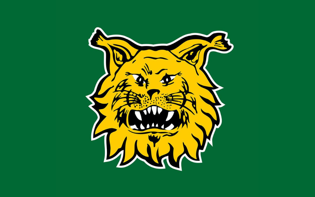 Ilves logo vihreä tausta