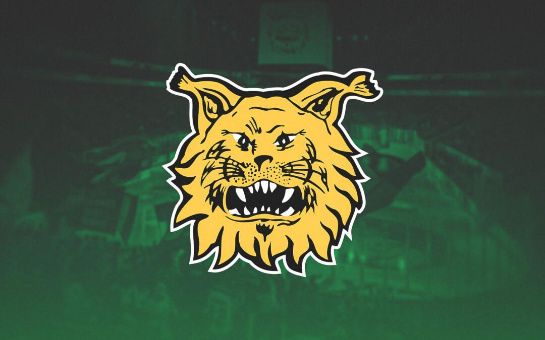 ilves