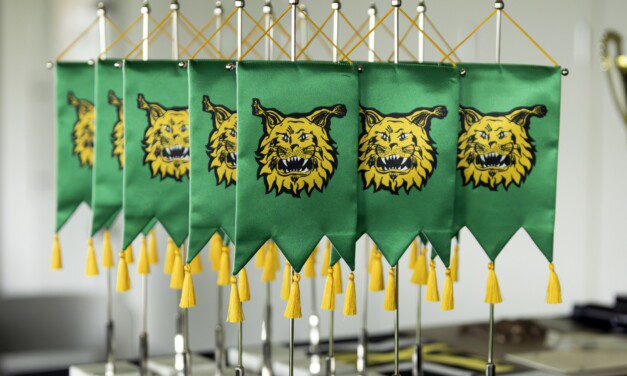 Ilveksen toimihenkilöpäättäjäiset 13.5.2026